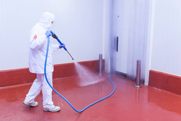 Best Driveway Pressure Washing  in Sullivan, MO